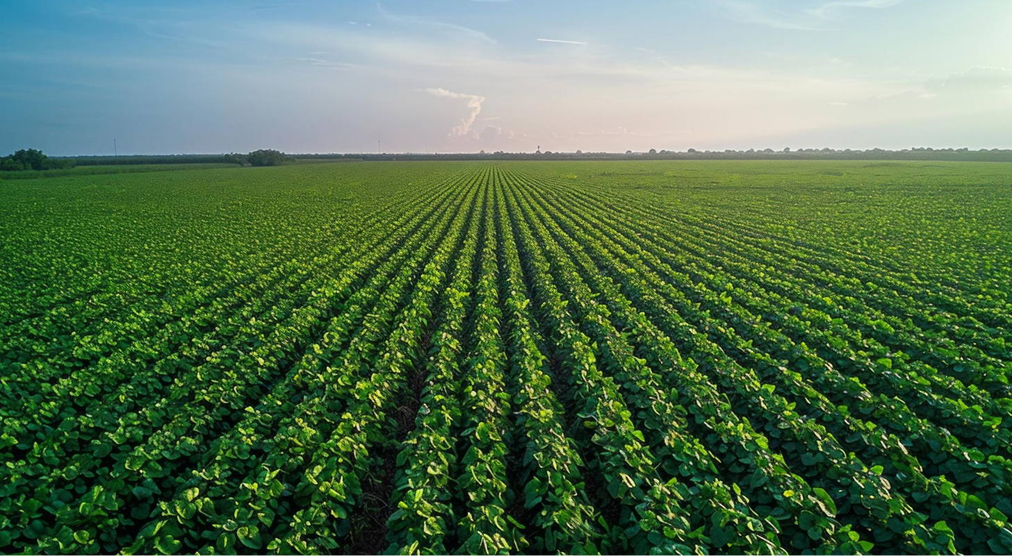 Ladakiya, Bhatpura, Alwar, Rajasthan