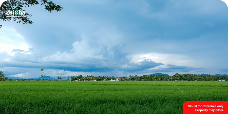 Silliserh Valley, Alwar,Rajasthan